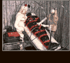 Latex dominatrix femdom movies at CruelWomenRules.com