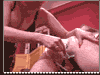 Cruel femdom Miostress movies at CruelWomenRules.com